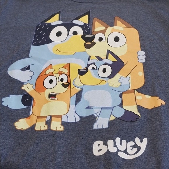 Bluey Other - Bluey & Family NWT T-Shirt Men's Size Large Dark Gray‎ Vibrant Graphics Unisex